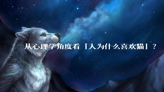 从心理学角度看「人为什么喜欢猫」？